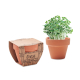 Pot terre cuite publicitaire avec graines de cresson CRESS POT