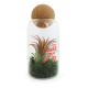 Terrarium à personnaliser boule en liège