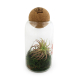 Terrarium à personnaliser boule en liège