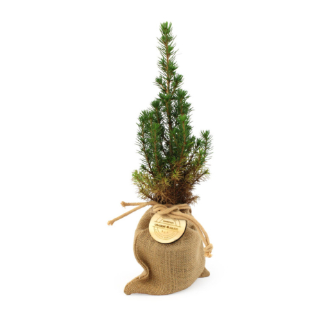 Sapin en pochon jute personnalisable