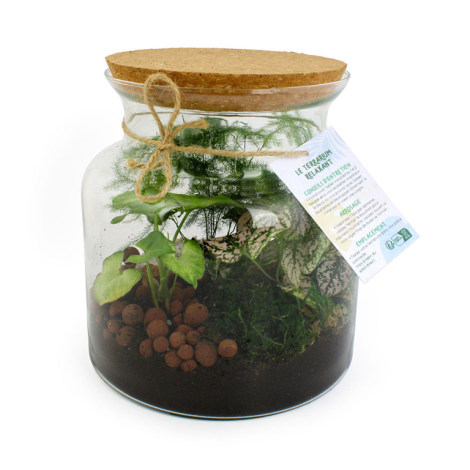 Terrarium à personnaliser - Relaxant