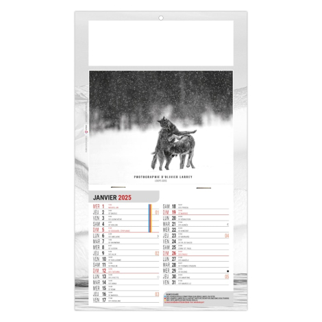 Calendrier plaque 1 vue personnalisable - Julietta